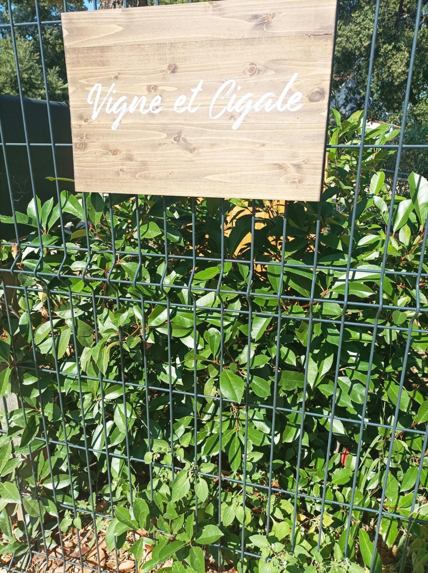 Vigne Et Cigale Lejlighed Le Thoronet Eksteriør billede